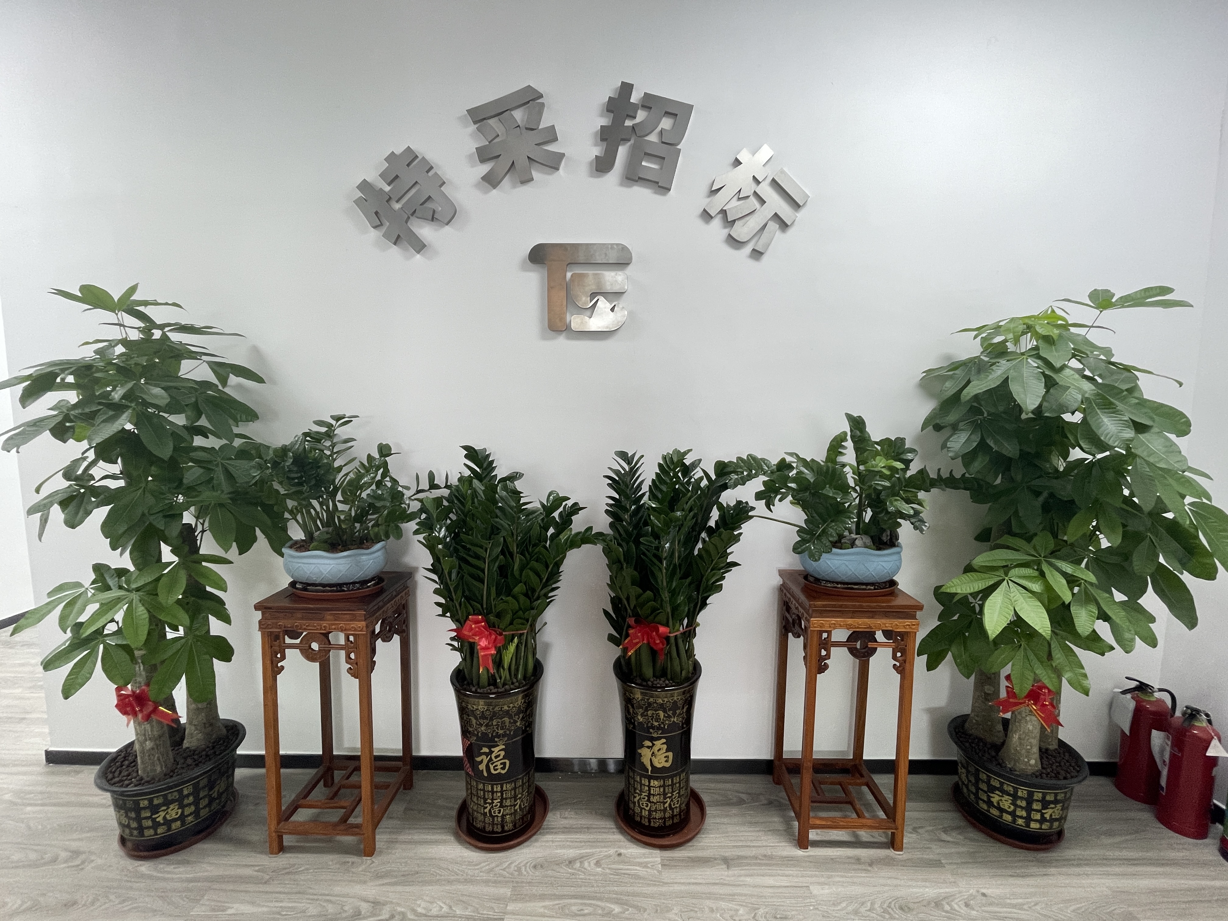 深圳特采招標(biāo)